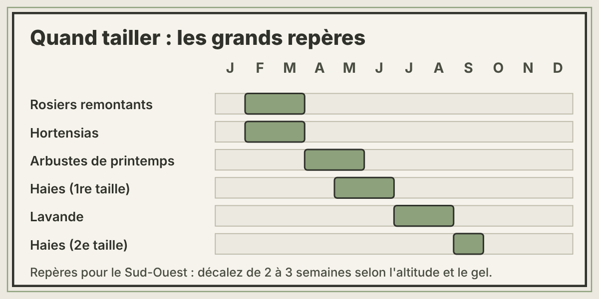 Calendrier des périodes de taille dans l'année