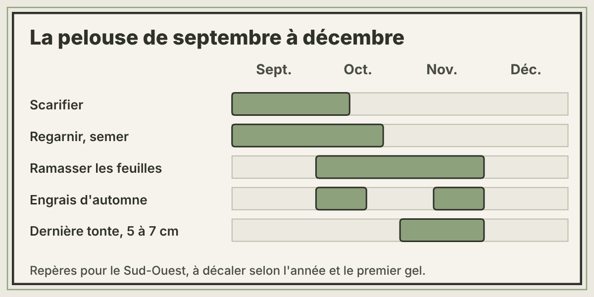 Calendrier de la pelouse en automne : scarifier et semer en septembre et début octobre, ramasser les feuilles et fertiliser en octobre et novembre, dernière tonte relevée à 5 à 7 centimètres en novembre